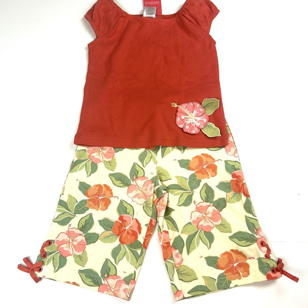 Gymboree Girl Hibiscus Knit Capri & Hibiscus Applique Tee  2 Piece Set Size 3